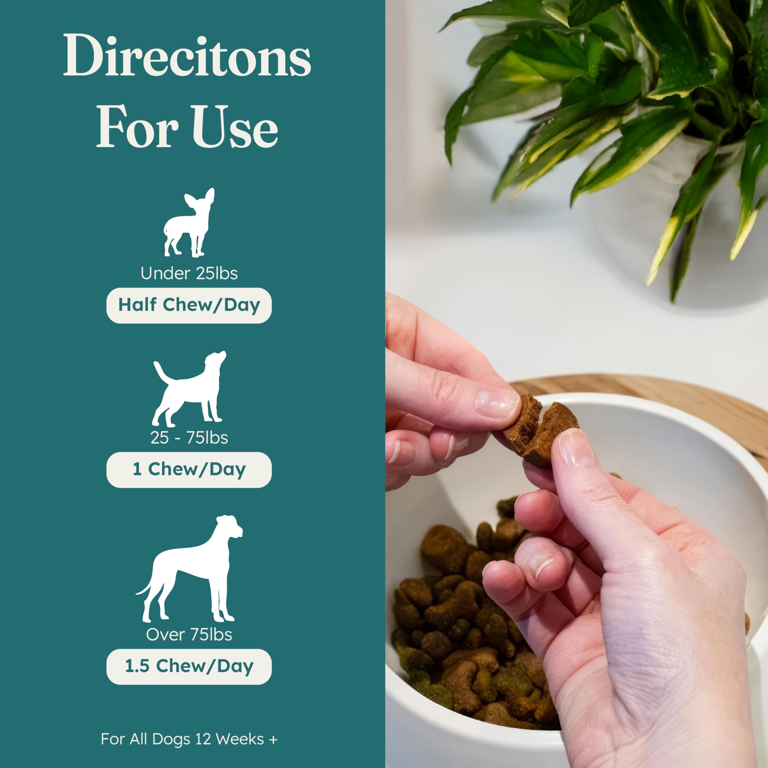 PetHeal Cancer Care Chews slippery-elm-bark close-up highlighting digestive comfort for dogs.