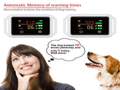 PETHEY Smart Dog Bark Collar waterproof design ideal for rain and snow.