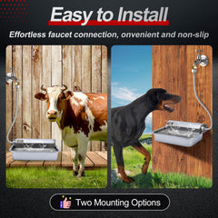 PETHIND wall-mount-ready installation demonstrates versatile placement options.