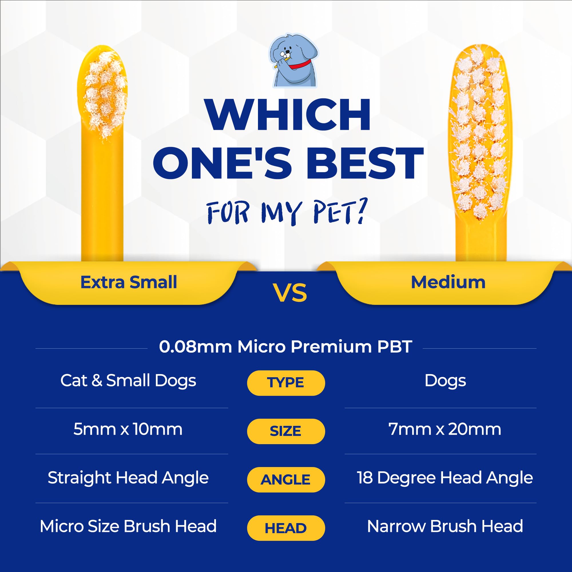 PETHROOM cat-dog use-case image demonstrates everyday oral hygiene routine.