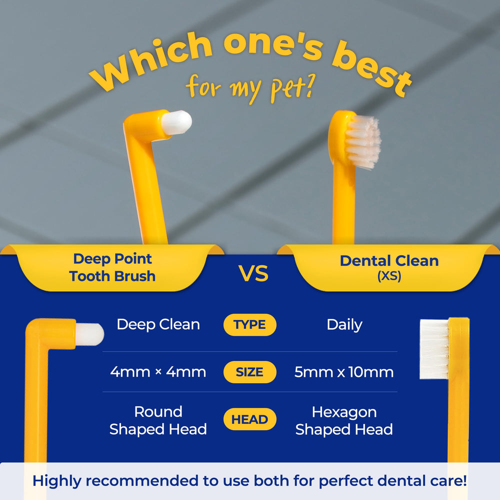PETHROOM easy-to-use pet toothbrush supports daily dental care routine.