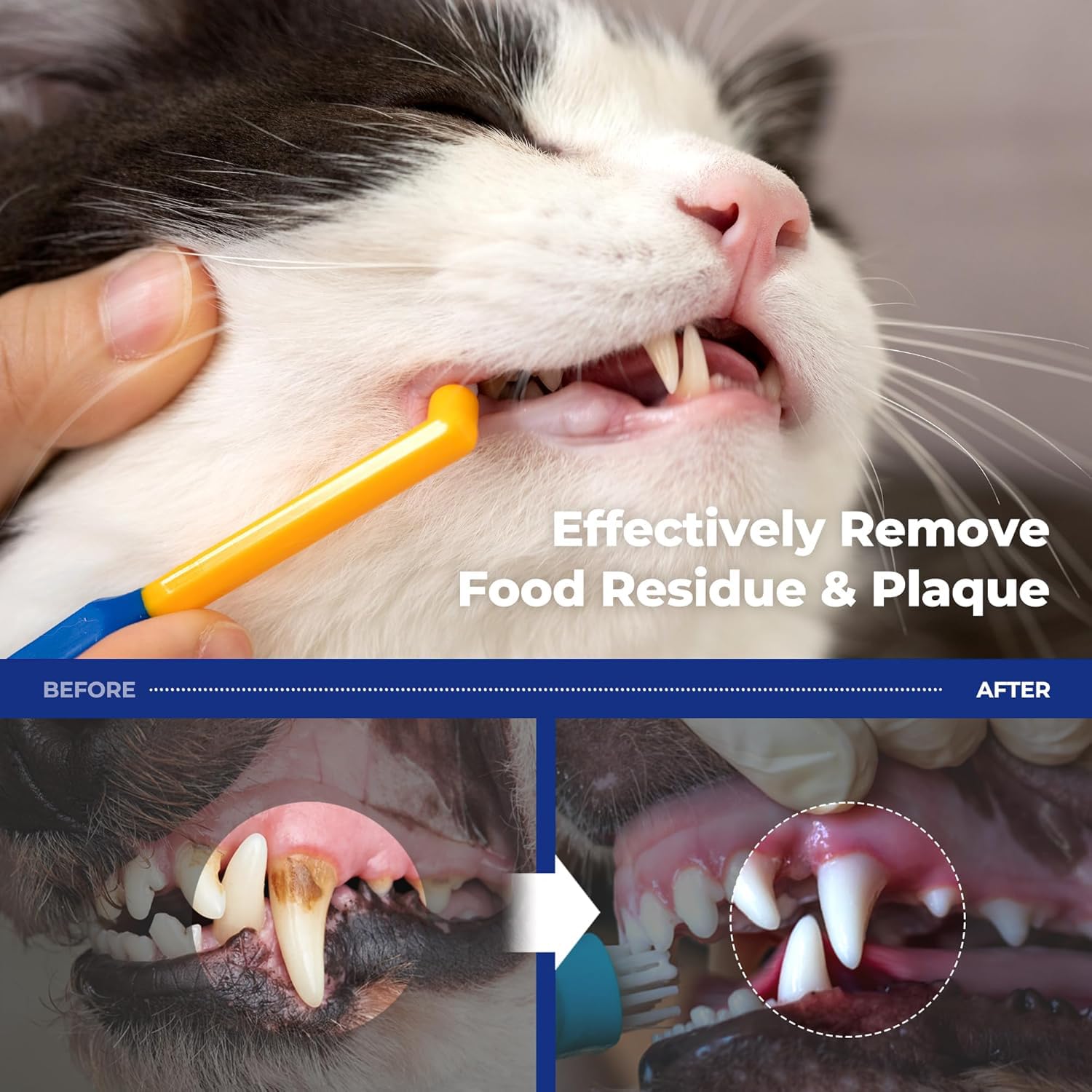 PETHROOM ultra-soft bristles for gentle pet dental care.