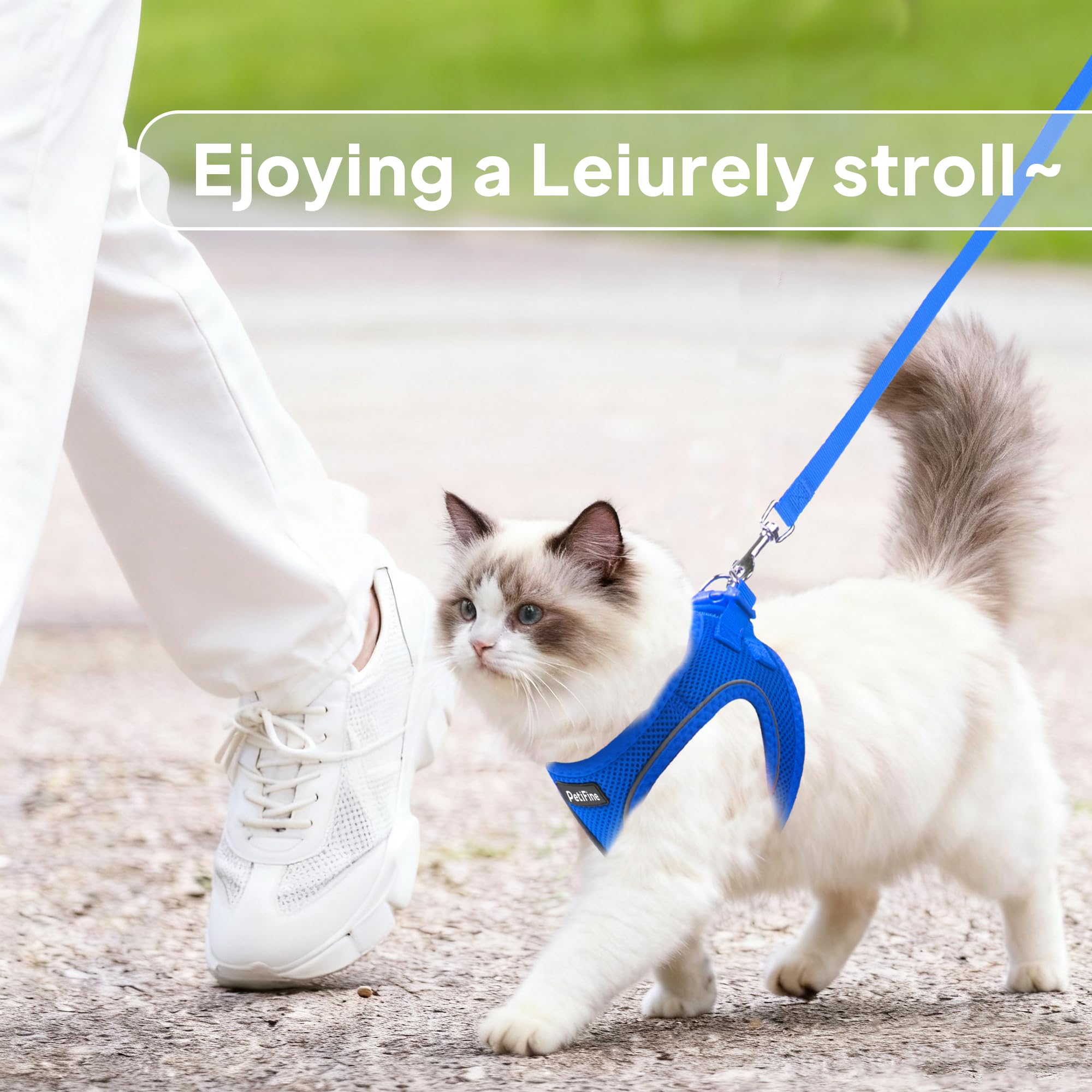 PetiFine escape-proof clasp ensuring secure harness for playful kittens.