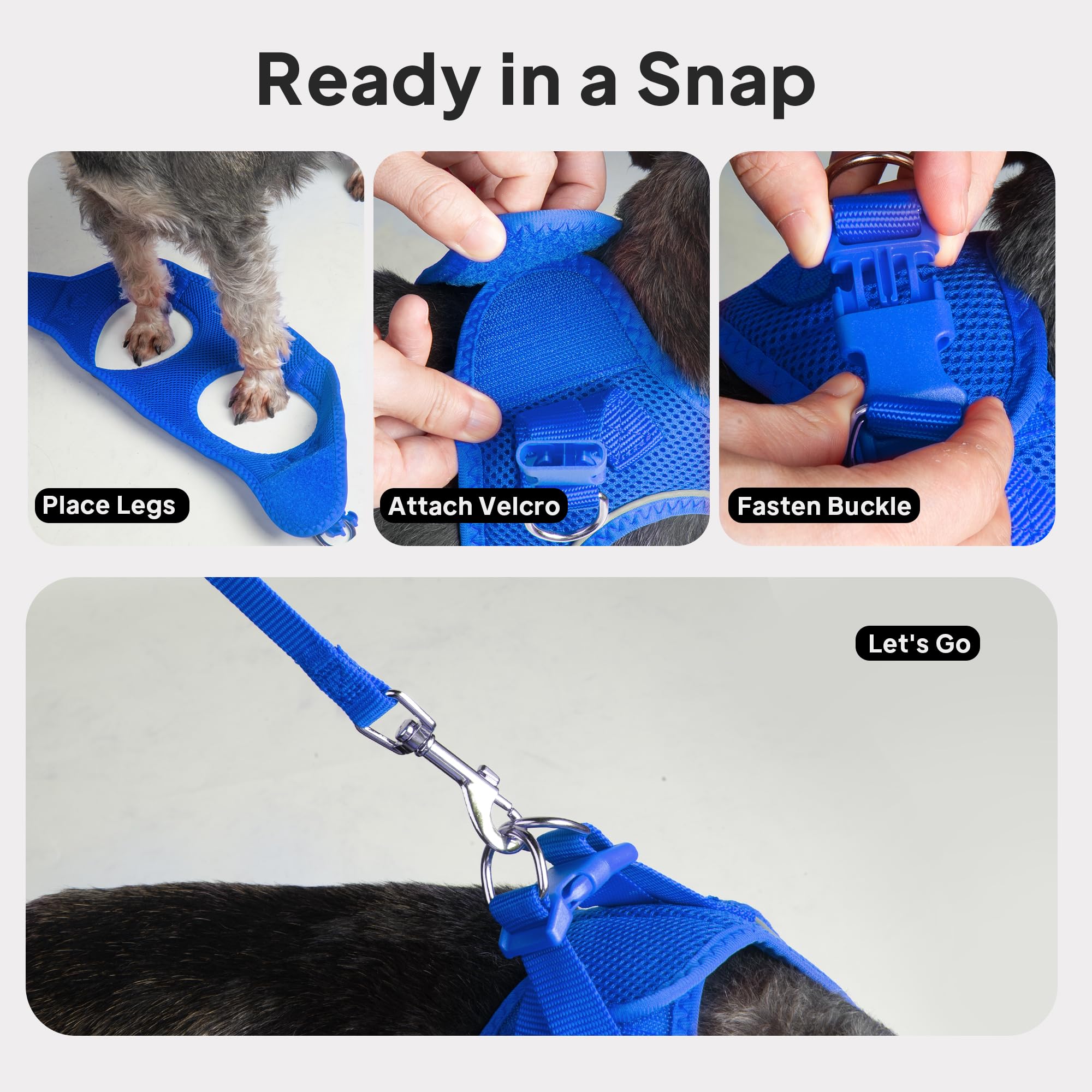 PetiFine cat harness walk-safe fit demonstrated on a cat.