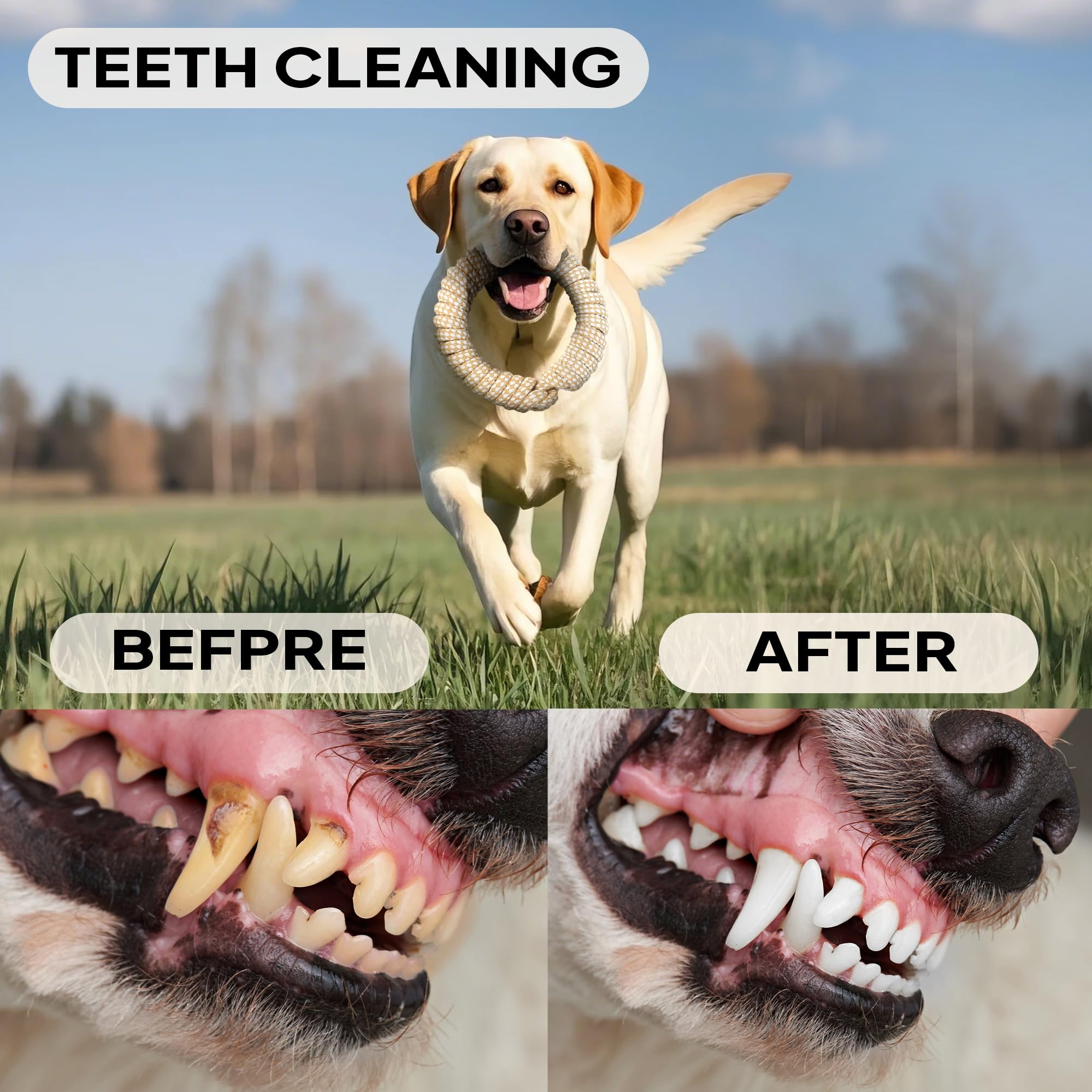 PetiFine 4-pack chew toys display showcases versatile play options