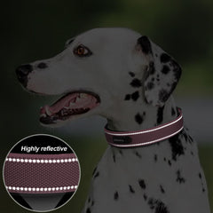 PetiFine collar ajustable para razas pequeñas y grandes.