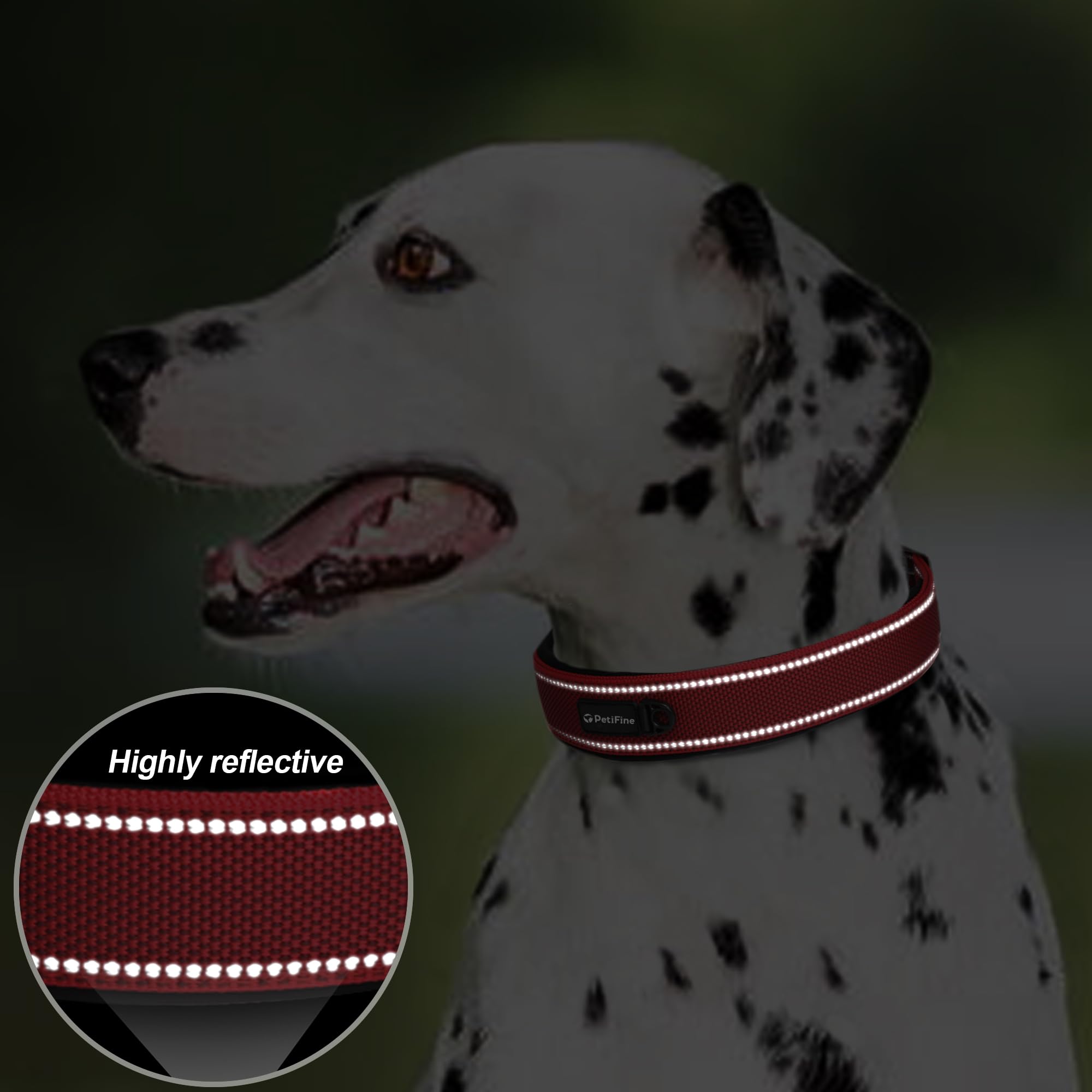 PetiFine 360° reflective straps increase visibility during dawn or dusk walks.