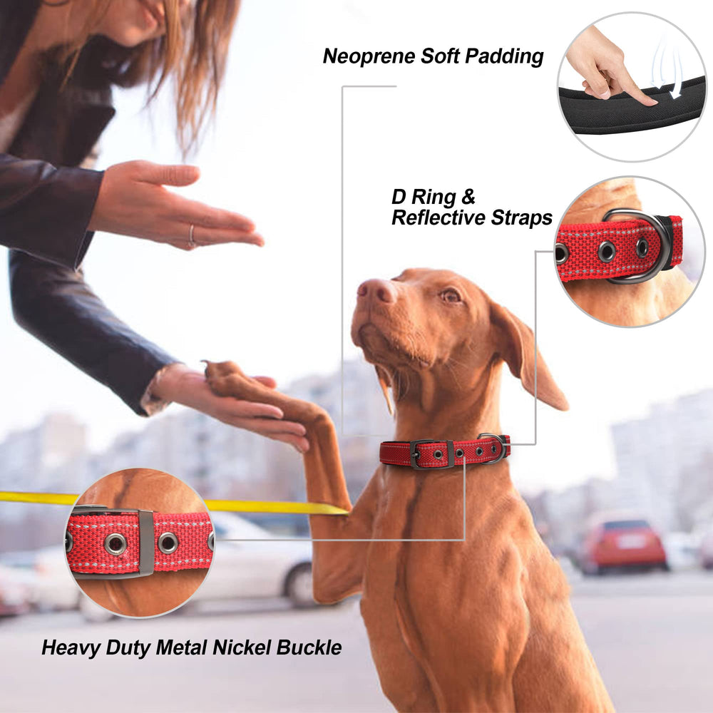 PetiFine adjustable sizes ensure a secure fit for diverse breeds.