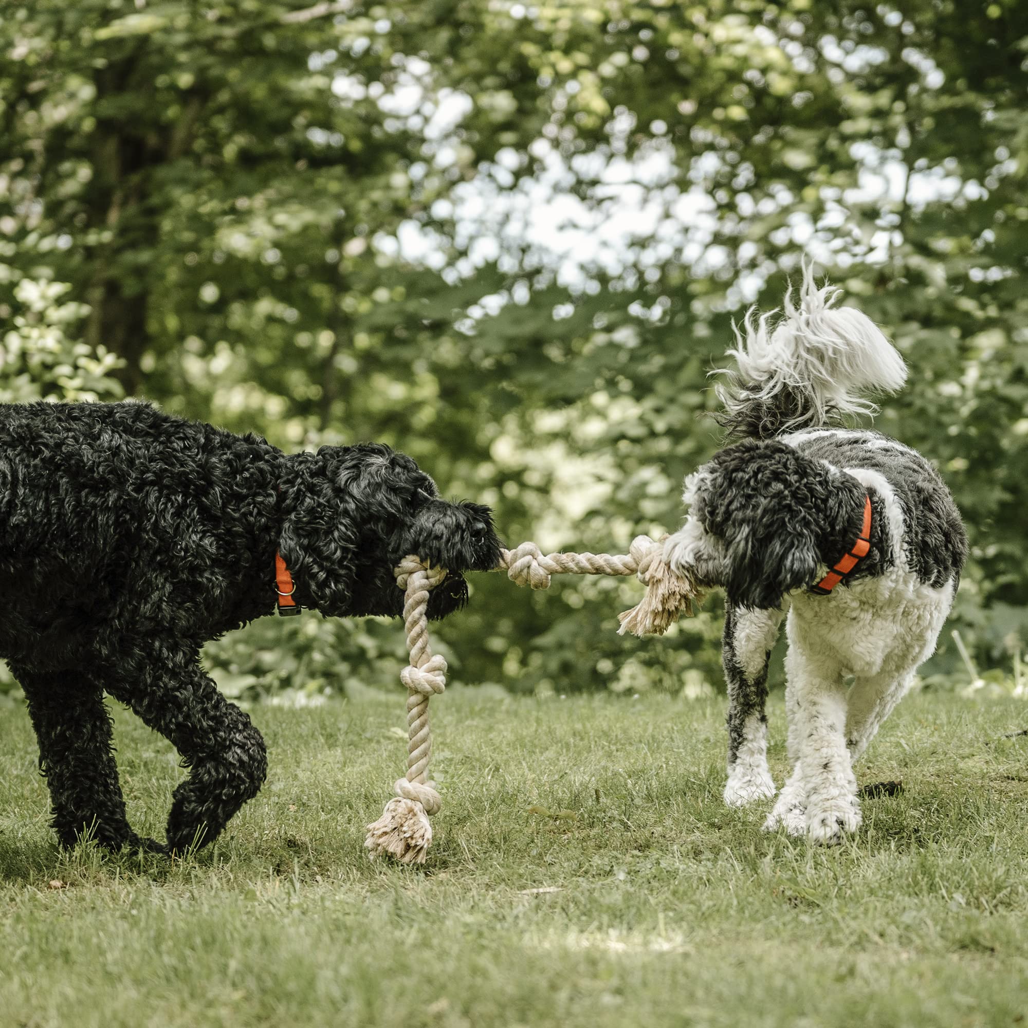 PetiFine dog rope toy indoor-outdoor play provides versatile entertainment for dogs and owners