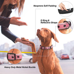 PetiFine heavy-duty collar with metal buckle for secure daily use