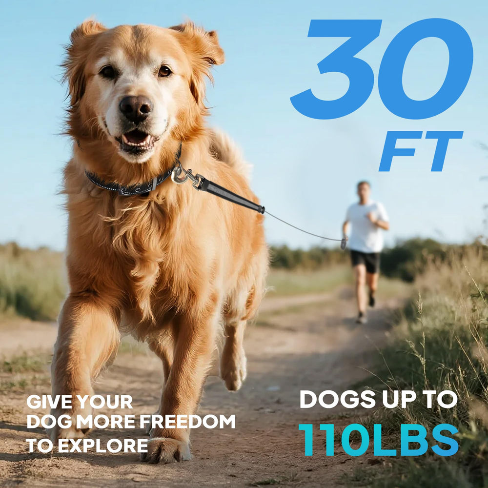 PetiFine large-dog leash up to 110 lbs enables safer control.