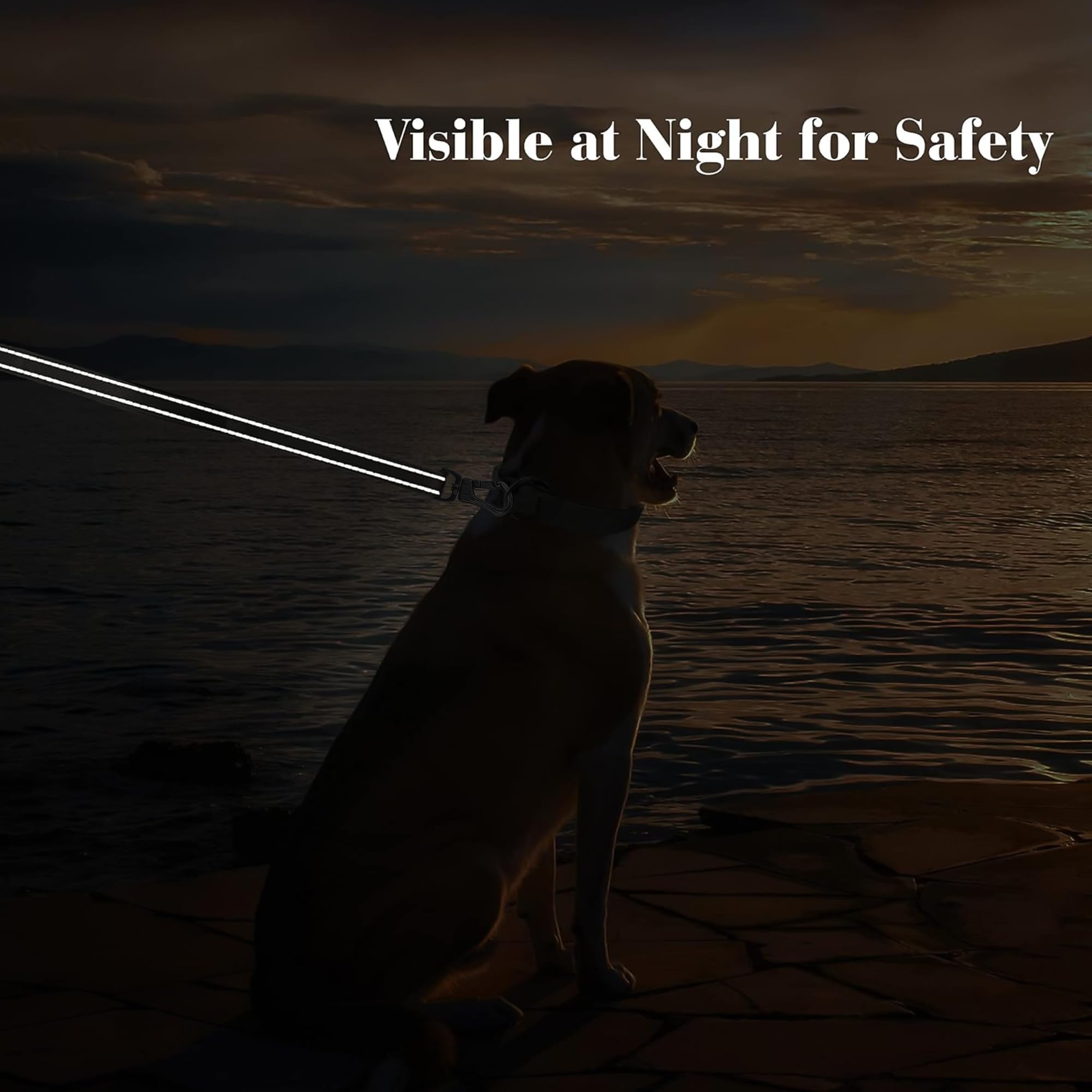 PetiFine leash d-ring-utility supports accessories like bag holders