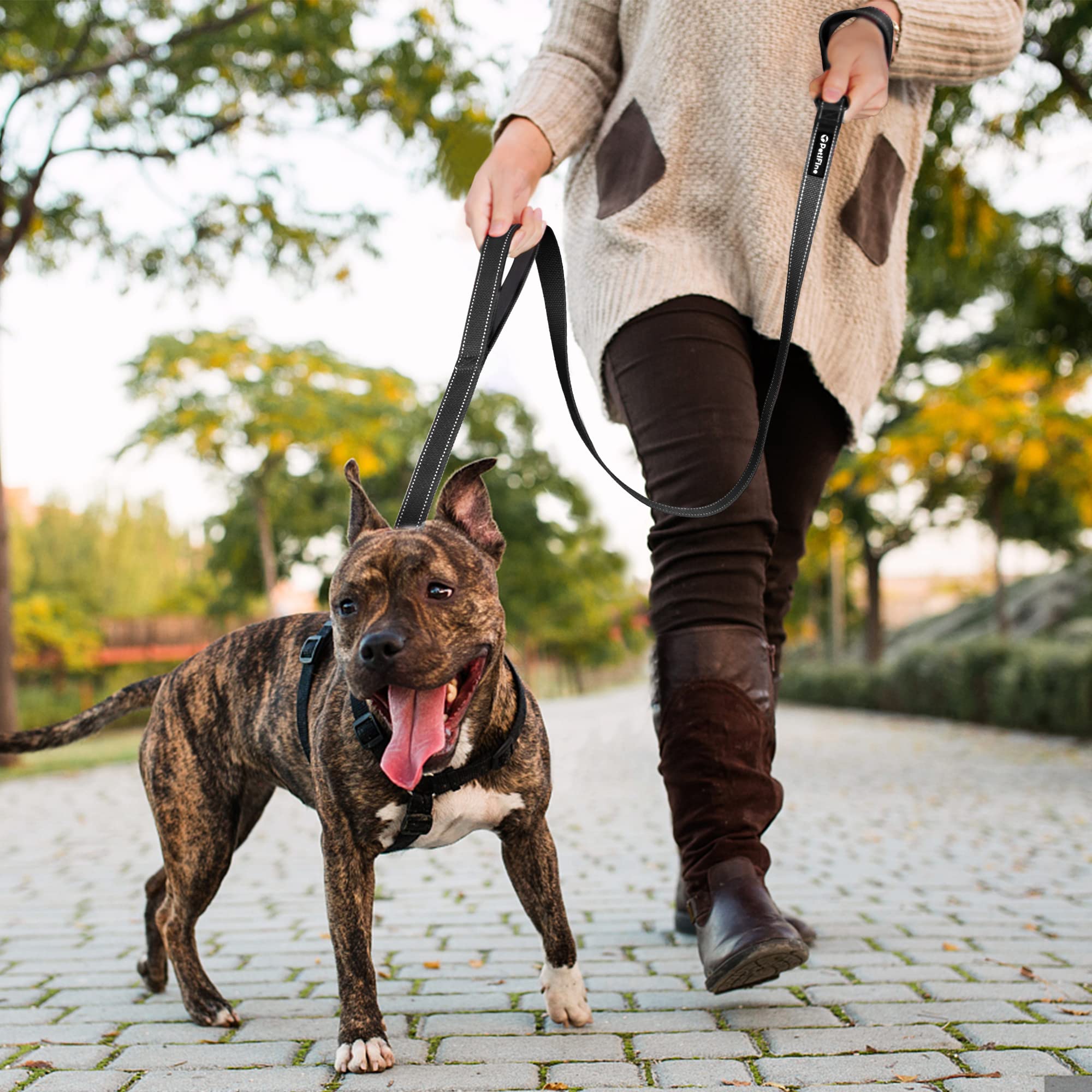 PetiFine leash walk-with-dog demonstrates versatile use for dogs of all sizes