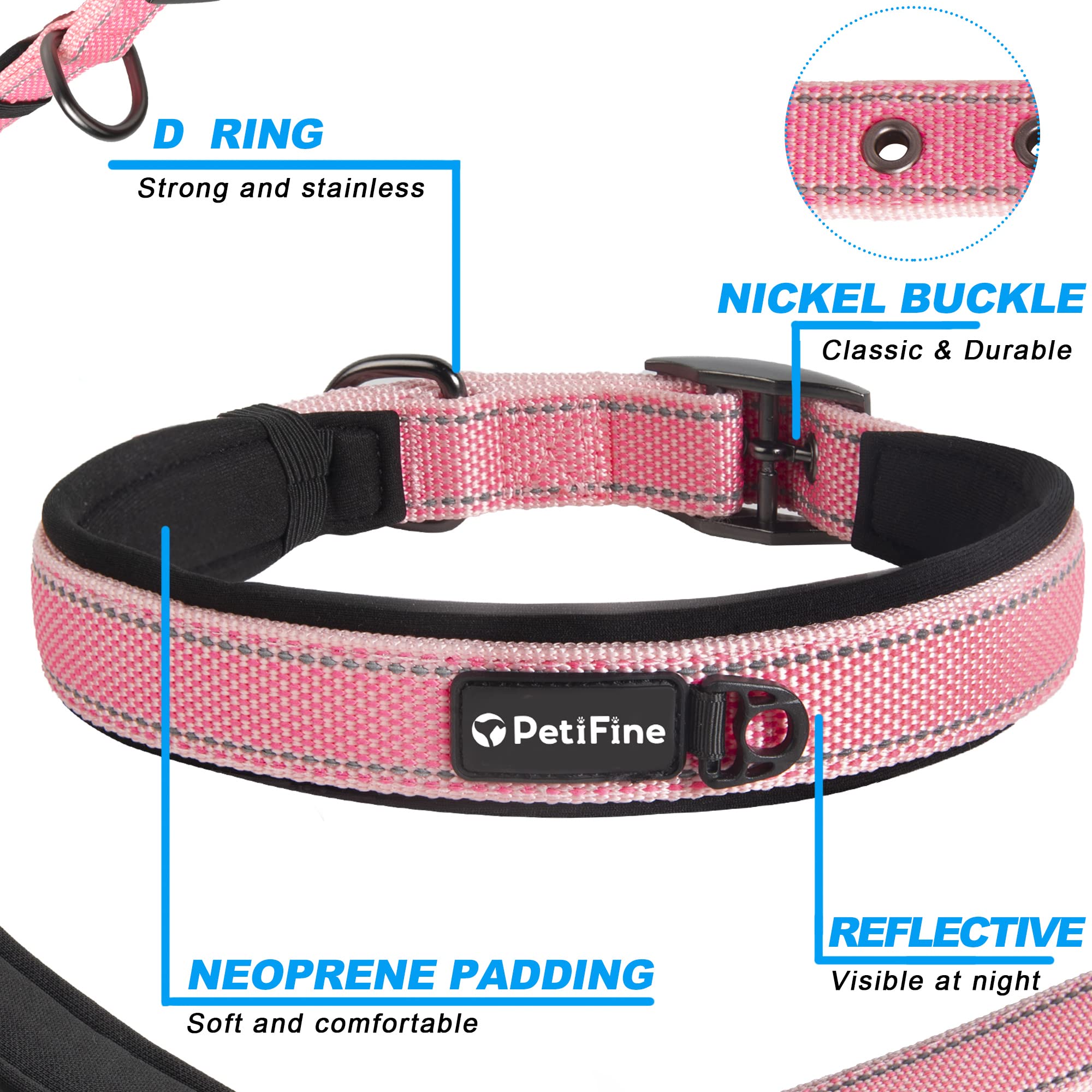 PetiFine collar with reflective stitching for safer dawn and dusk walks