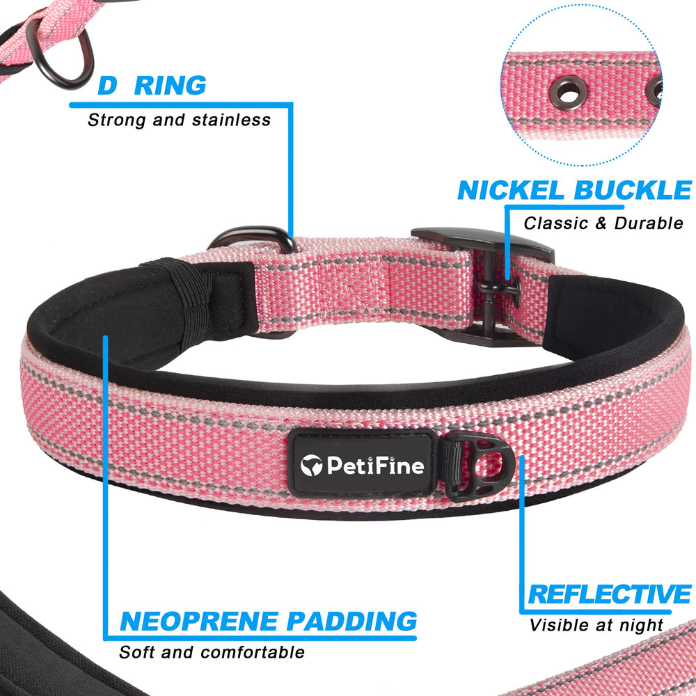 PetiFine collar with reflective stitching for safer dawn and dusk walks