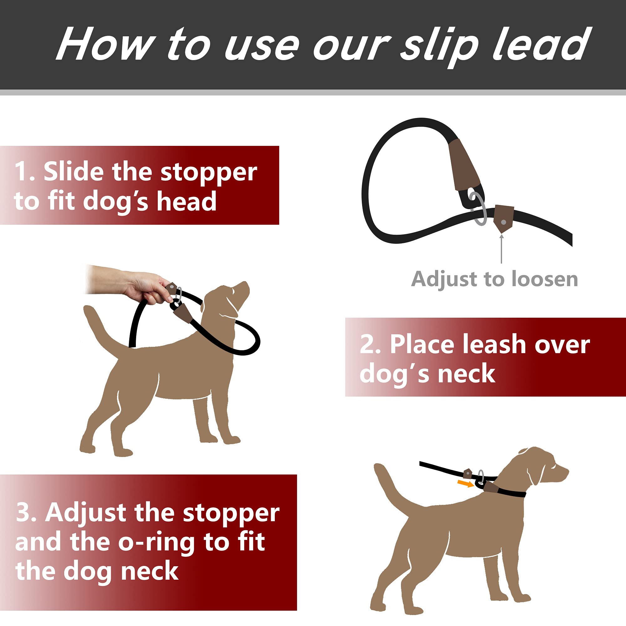 PetiFine slip lead blue-training-length offers ample space for control and freedom.