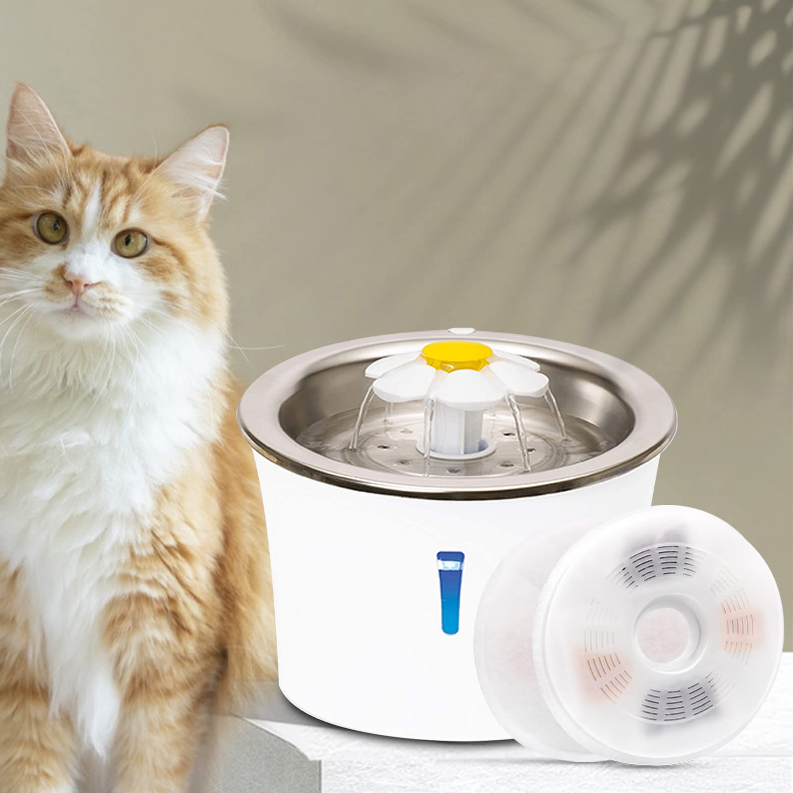 Petilog 3-pack packaging highlights value and convenience.