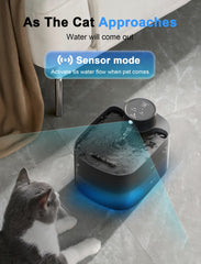 Petilog water fountain with motion sensor enabling automatic hydration as cats approach.