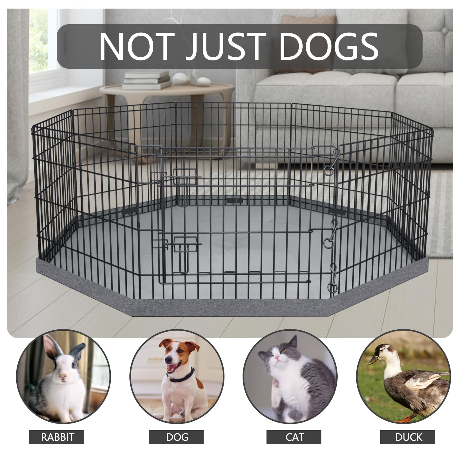 PETIME rust-preventive e-coat builds weather-ready outdoor pet pen.