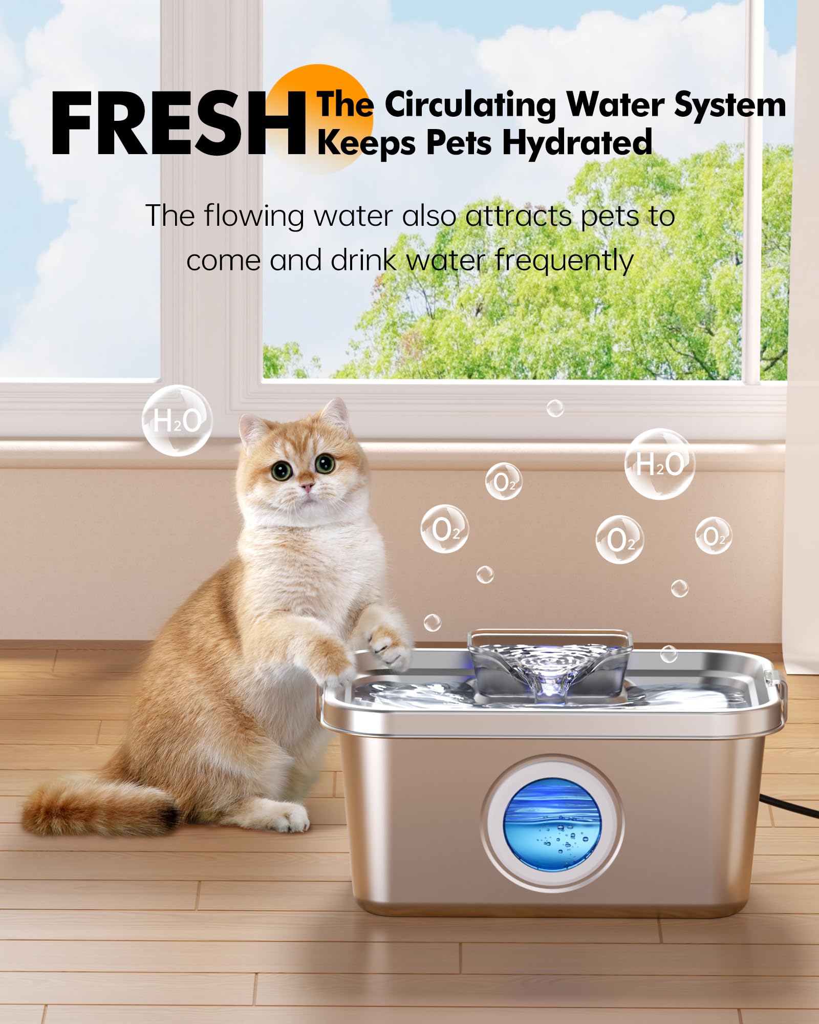 PETIMI 2-gallon fountain suitable for multi-pet households.