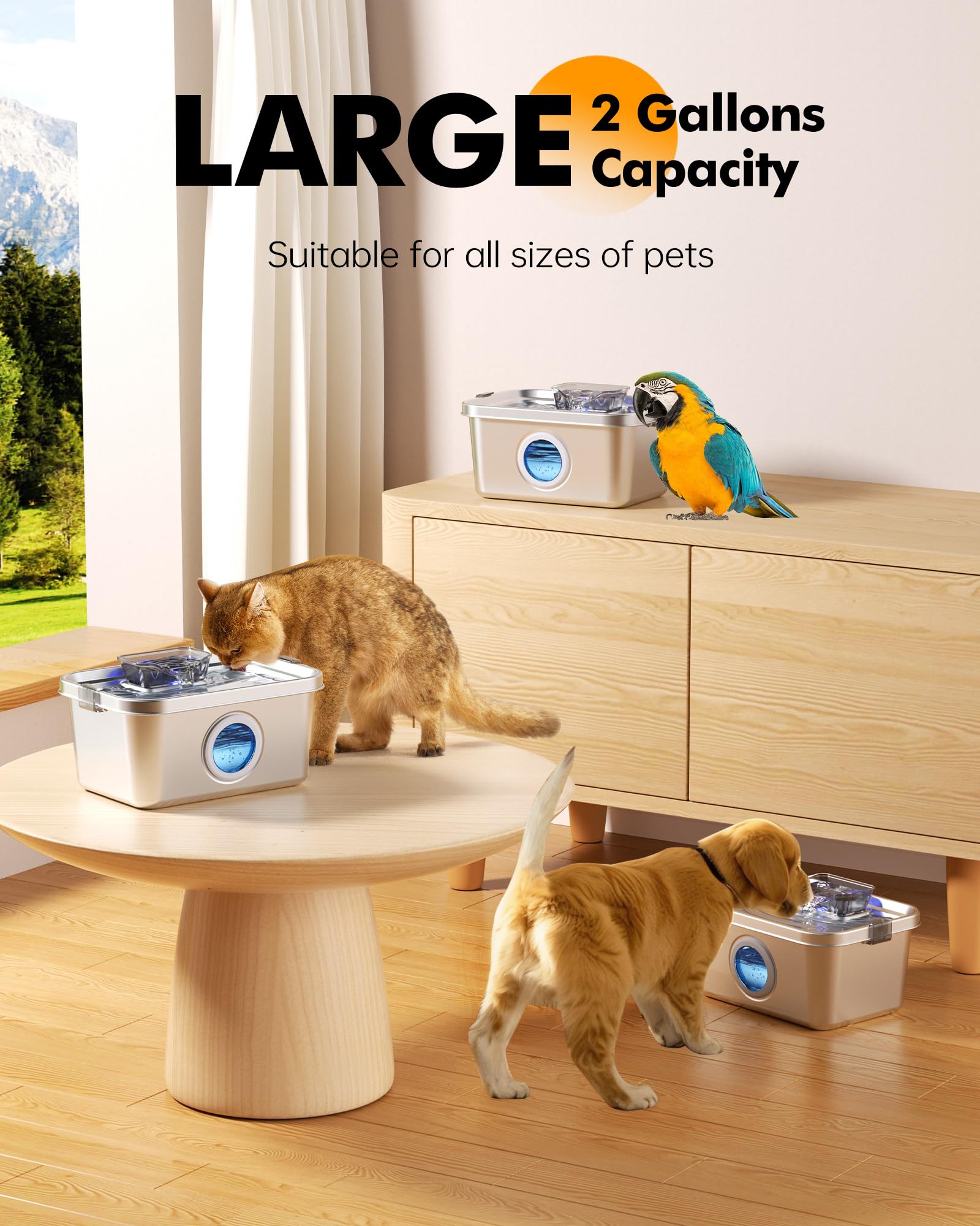 PETIMI ultra-quiet operation supports calm home and office spaces.
