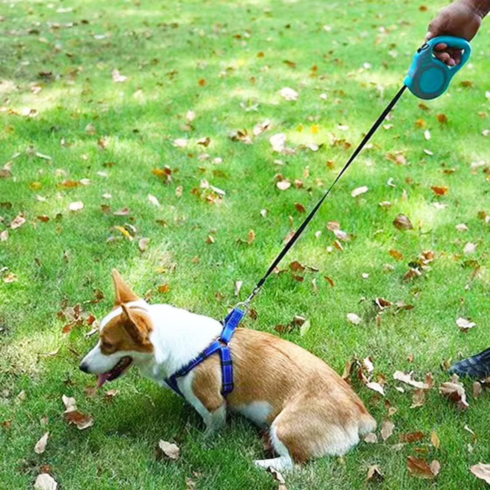 PETIMP retractable dog leash 360-degree hook demonstrating tangle-free movement