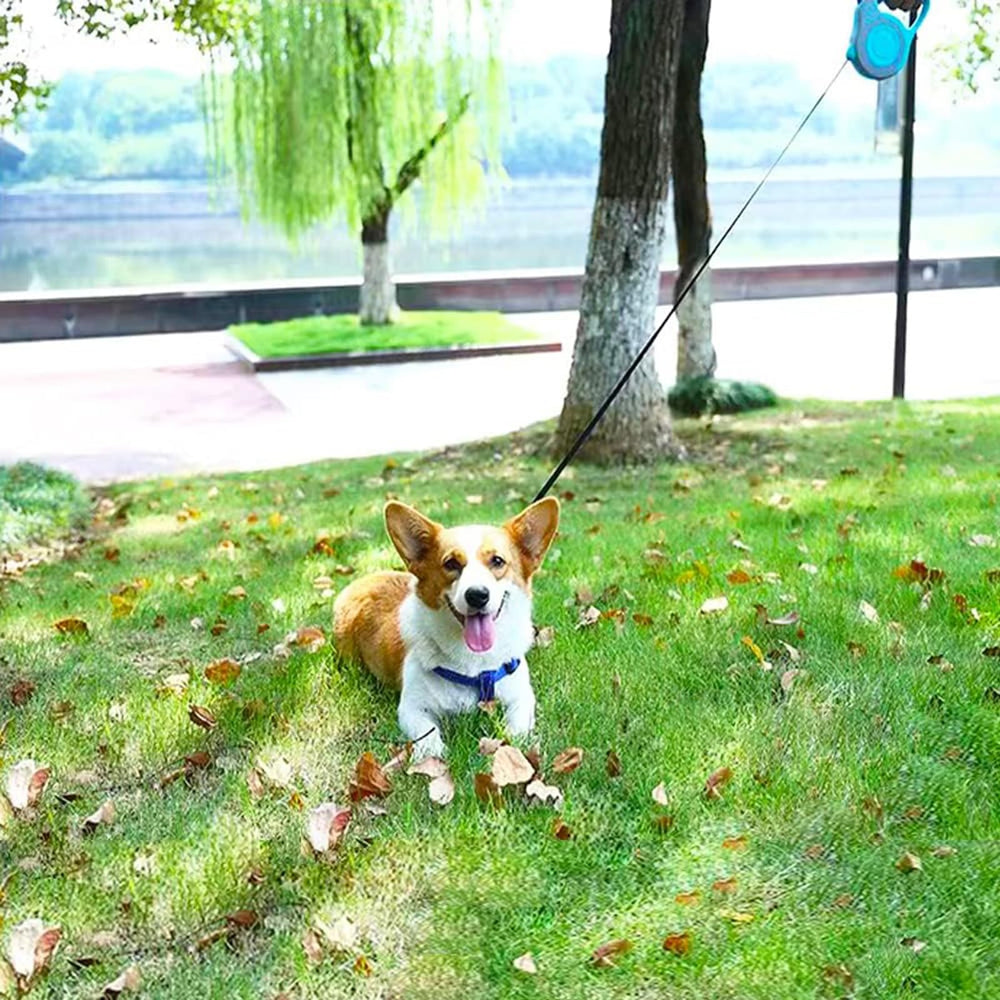 PETIMP retractable dog leash non-slip handle close-up highlighting comfortable grip