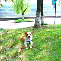 PETIMP retractable dog leash non-slip handle close-up highlighting comfortable grip