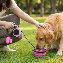 Tazón plegable PETIMP, ideal para agua en caminatas.