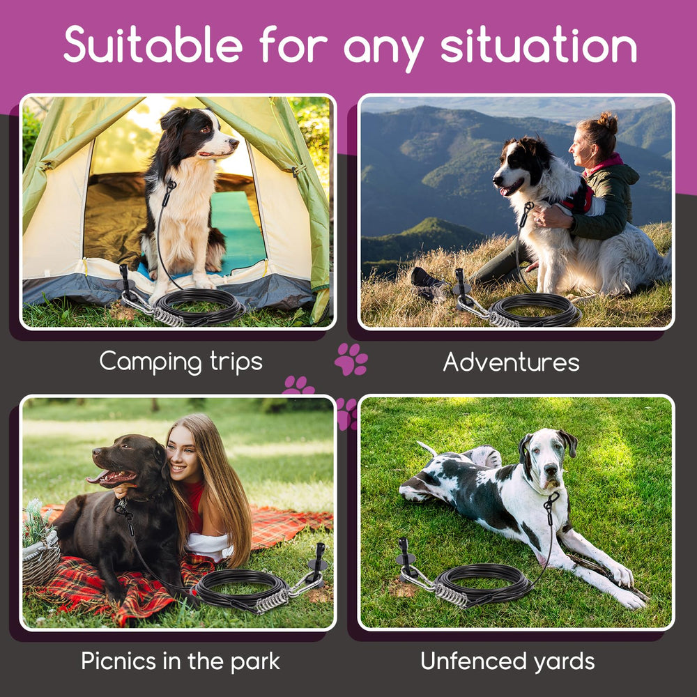 PETINBOX 360° swivel prevents tangles during outdoor dog roaming.