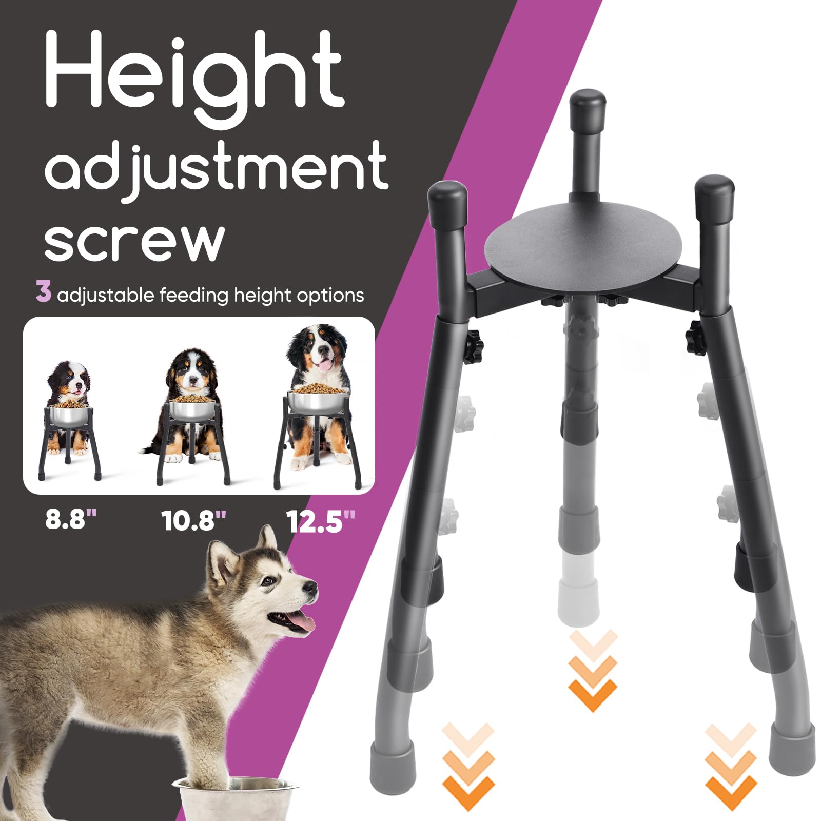 PETINBOX metal-frame-anti-slip-feeder shows sturdy construction and quiet mealtime.