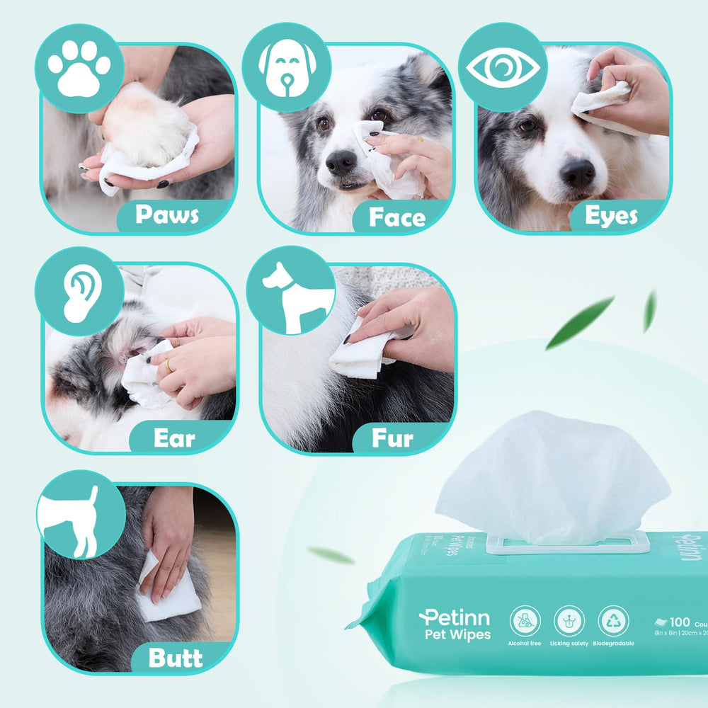 Petinn thickened-pearl dog wipes sturdy and tear-resistant during cleanup