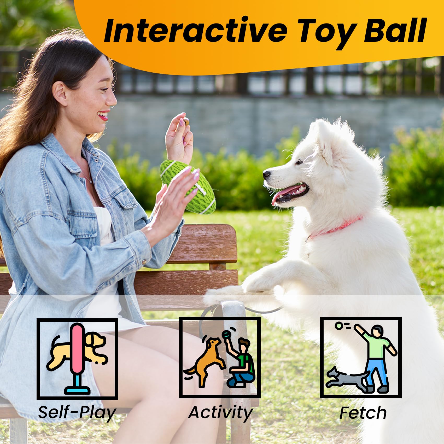 Petinstinct dog enjoying playtime demonstrating bonding and active movement
