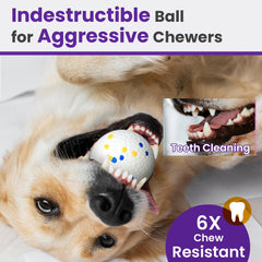 Petinstinct durable ball with high elasticity boosts interactive fetch.