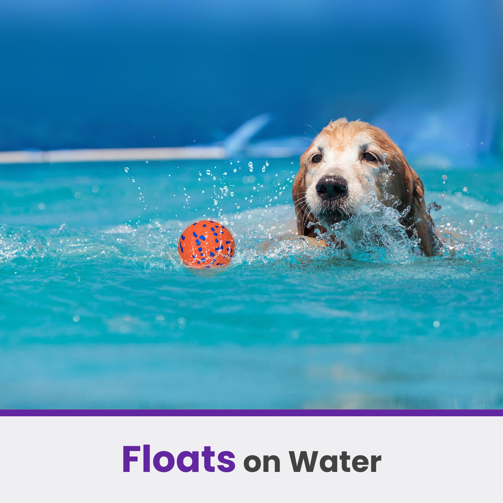 Petinstinct floating fetch toy for water games.