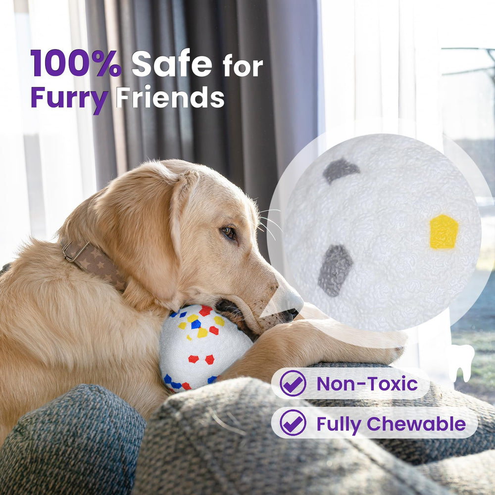 Petinstinct outdoor two-pack ball set for versatile play.