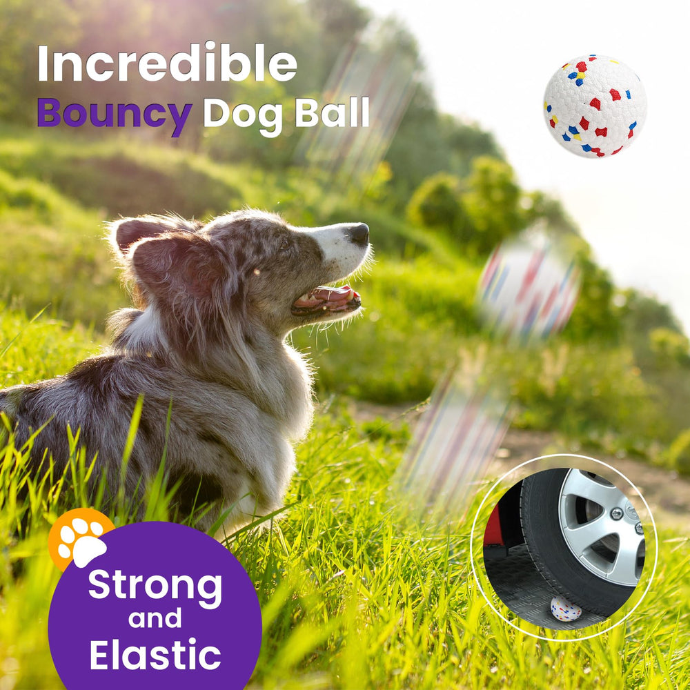 Petinstinct textured ball offers teething relief for puppies.