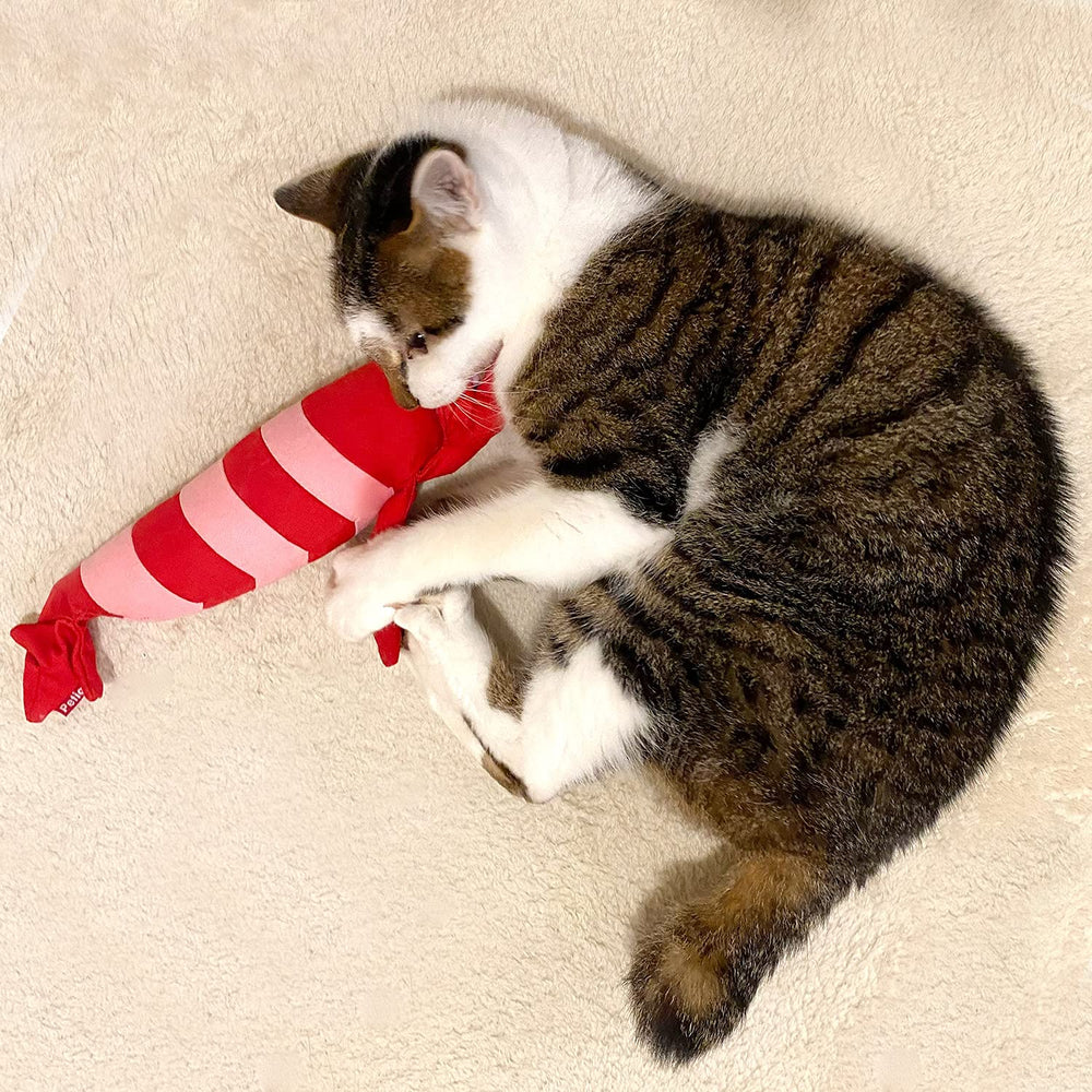 Petio Shrimp stuffed animal China-manufacture label signals safety-focused production.