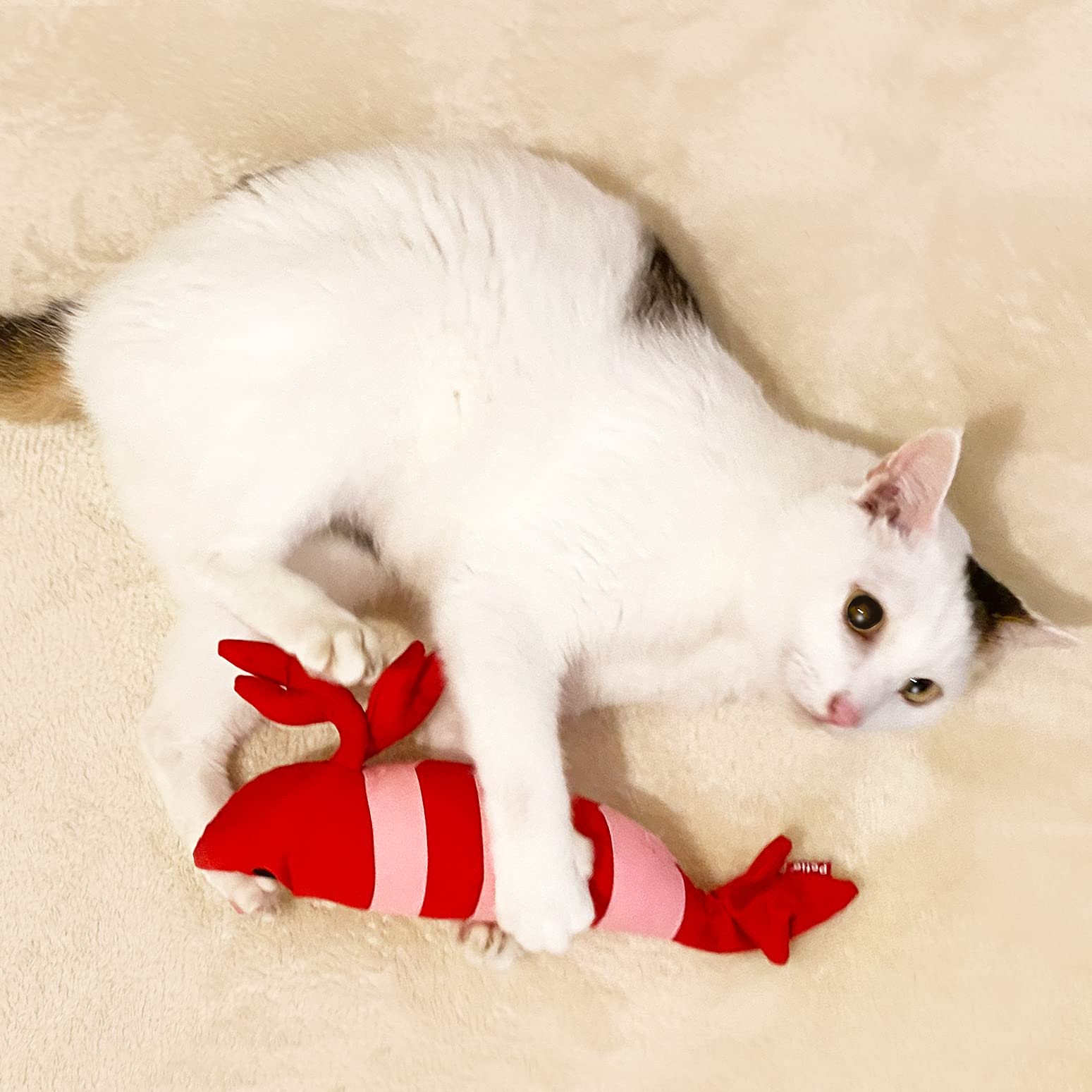 Petio Shrimp stuffed animal closeup shows soft fabric texture for comforting pets.
