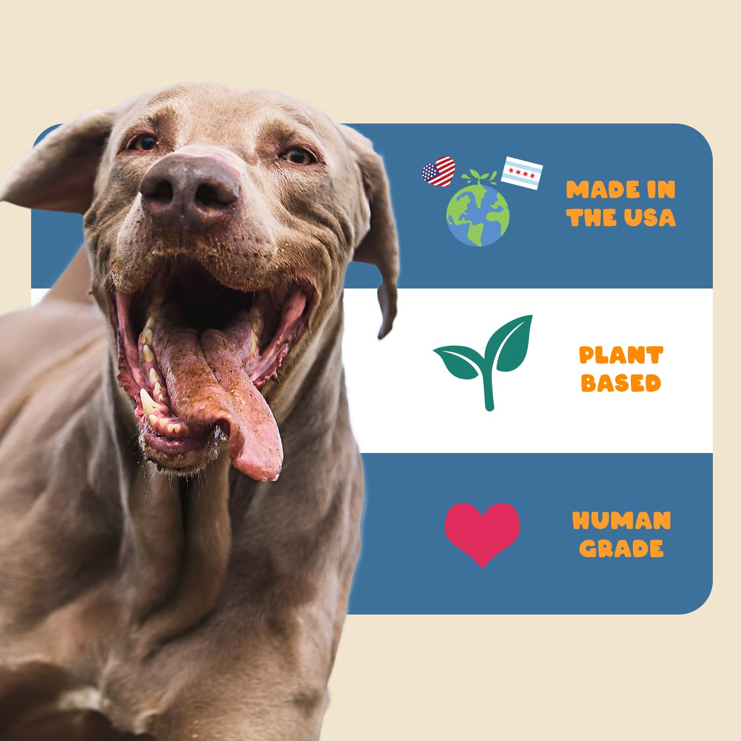 Petipet dog allergy chews with a puppy portrait suggesting skin and coat nourishment.