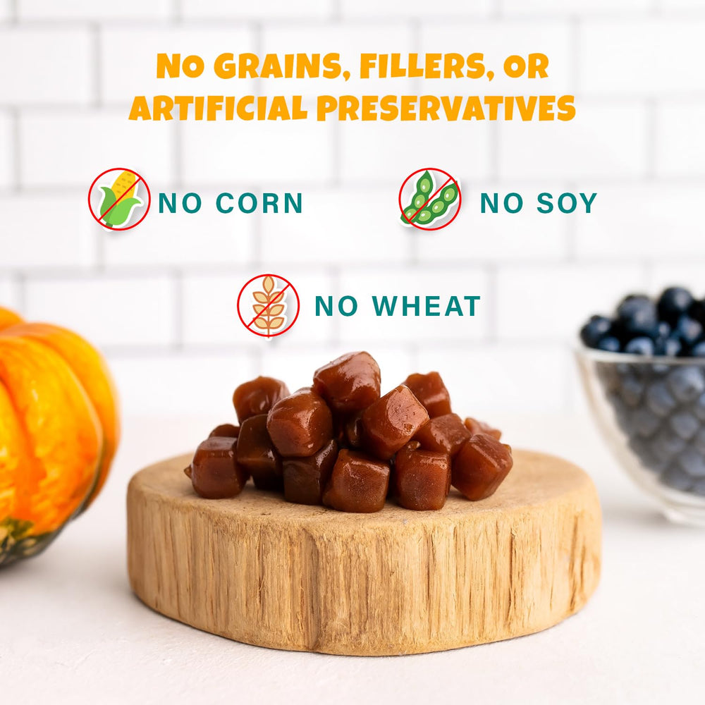 PETIPET gluten-free dog treats in a glass jar with no gluten fillers