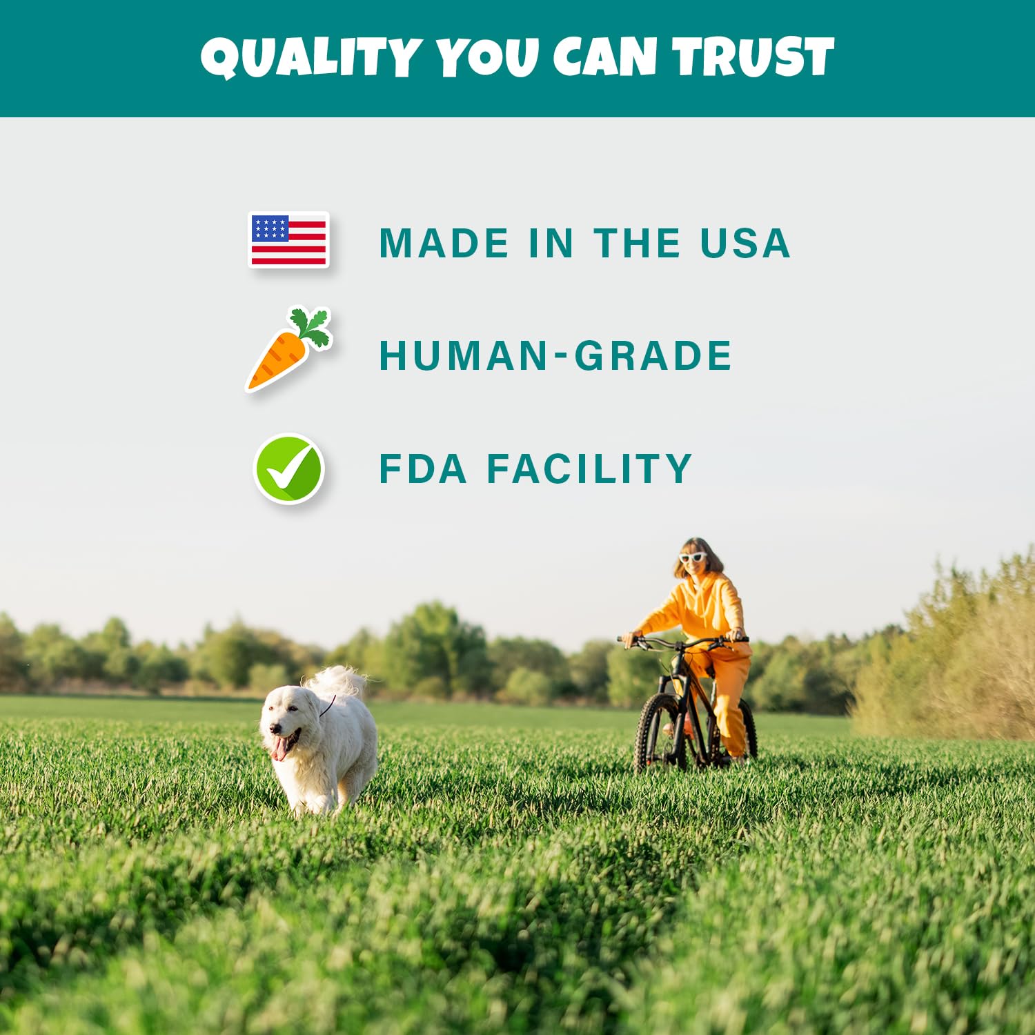 PETIPET vegan dog treats pack featuring plant-based ingredients for allergy-friendly snacking