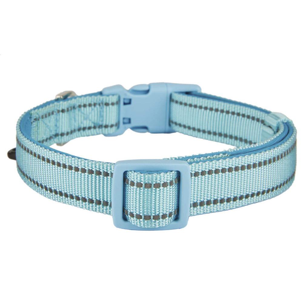 Petiry dog collar shows quick-release buckle for easy on/off during walks