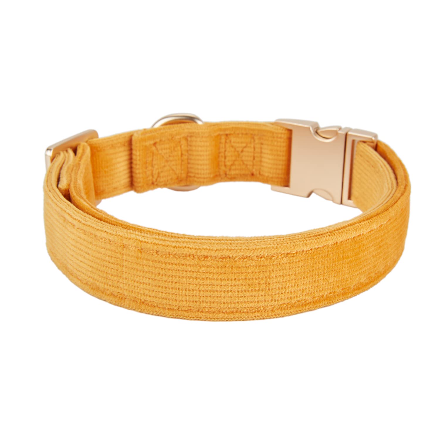 Petiry dog wearing corduroy collar in orange showing style and comfort.