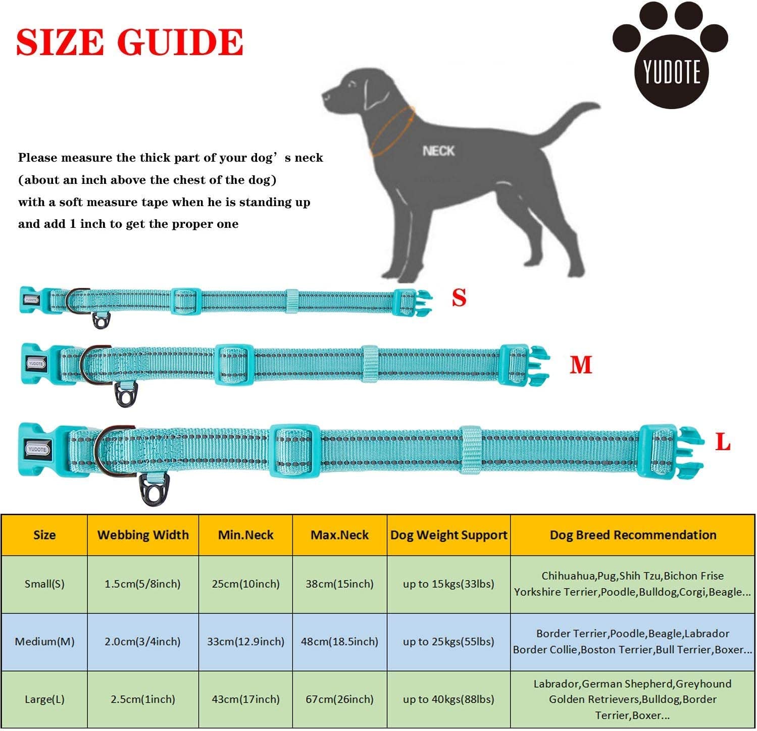 Petiry sky blue collar worn by a medium dog, offering visibility and comfort