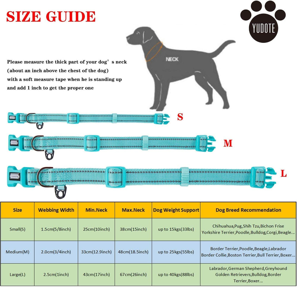 Petiry sky blue collar worn by a medium dog, offering visibility and comfort