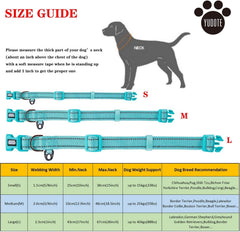 Petiry sky blue collar worn by a medium dog, offering visibility and comfort