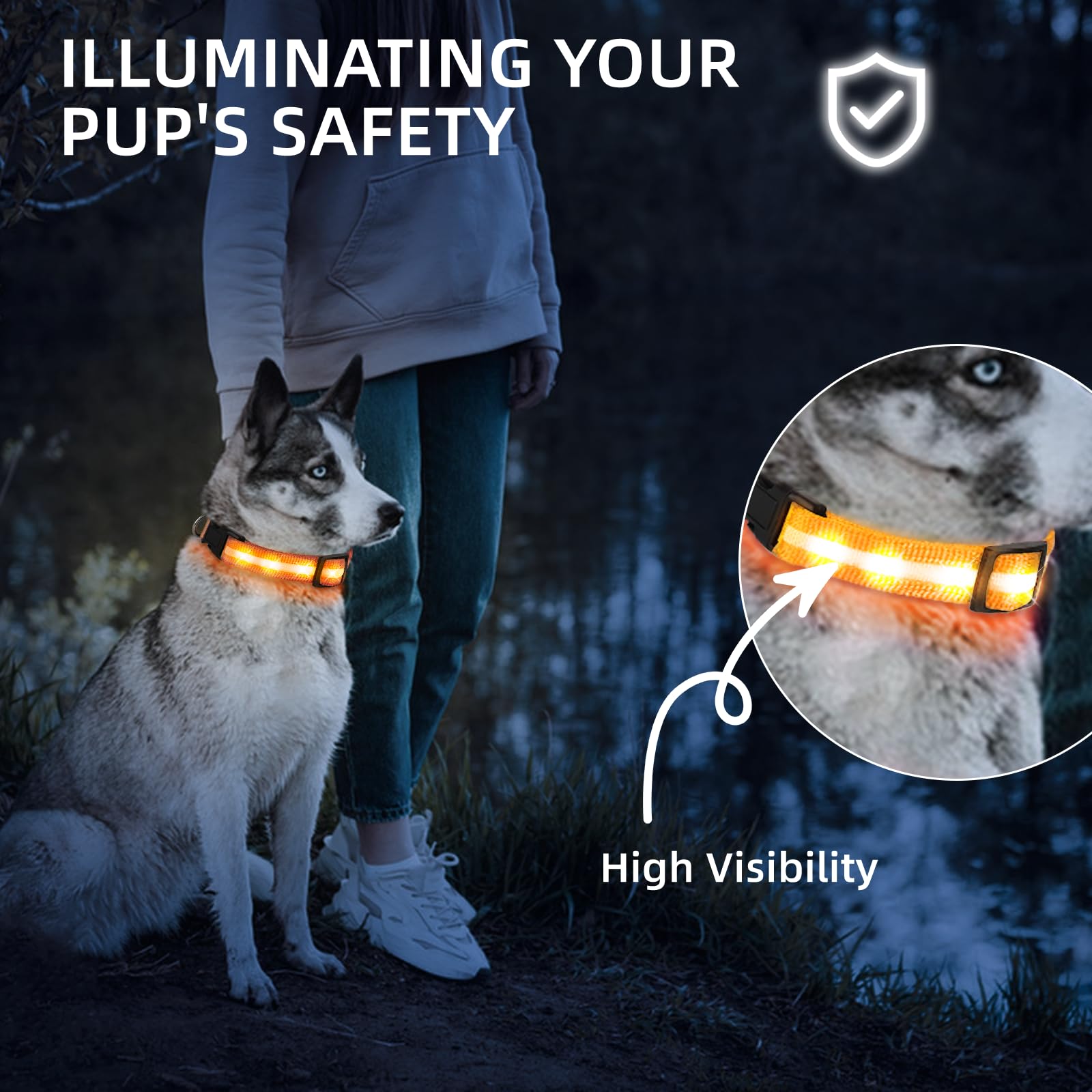 PetIsay collar LED para perro con ajuste total y cómodo.
