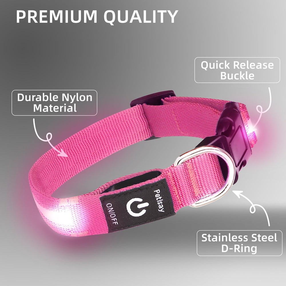 PetIsay dog collar flashing mode illustrates high visibility for active outdoor use.