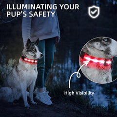 PetIsay USB-C Rechargeable Dog Collar close-up showing charging port for quick on-the-go safety.